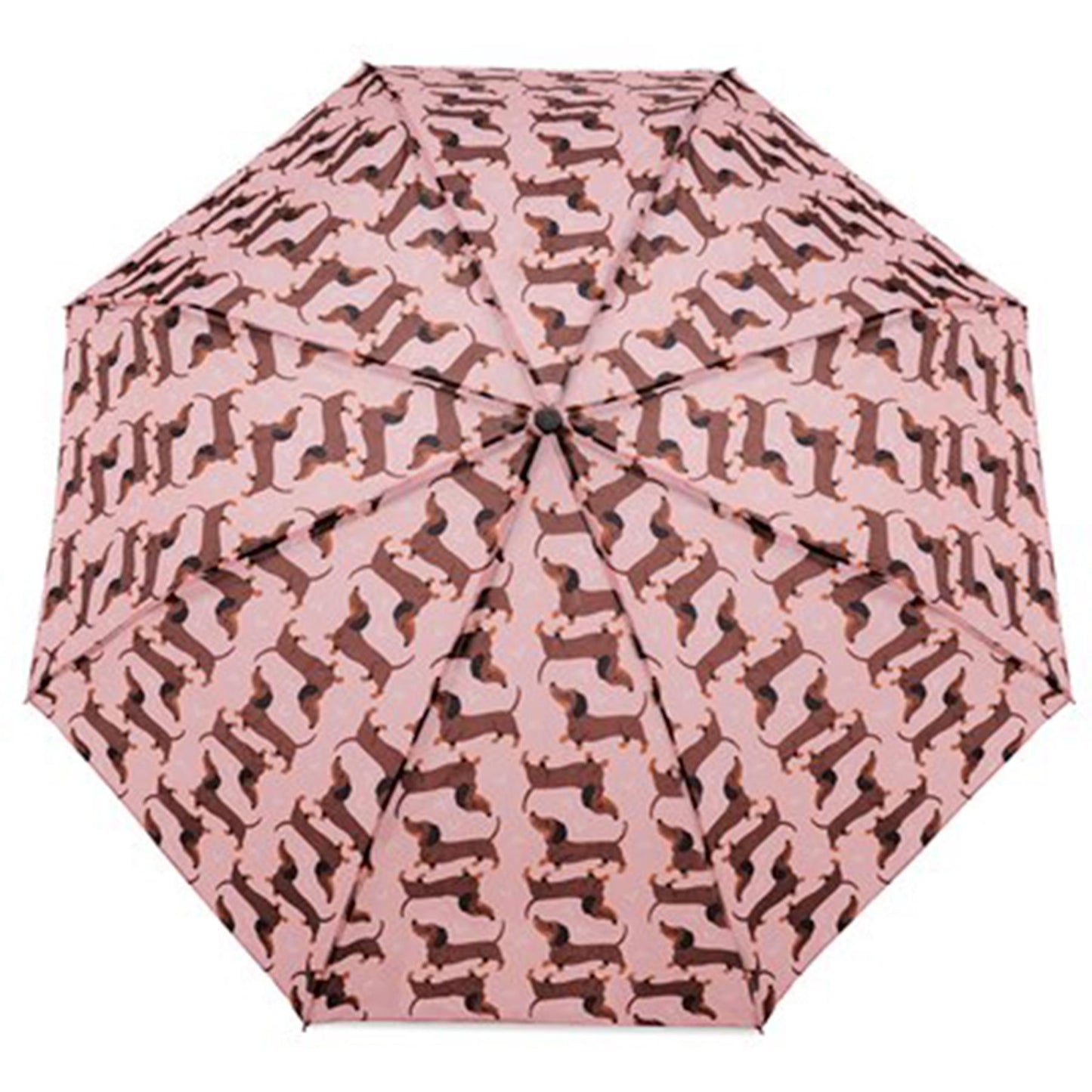 Ladies Supermini Folding Umbrella Sausage Dog AOP Lightweigh 50cm Compact Brolly