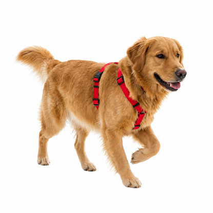 A2Z Padded Dog Harness Adjustable Lightweight Pet Harness 85 x 70 cm