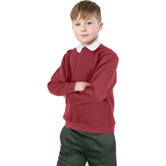 Kids Girls Boys Sweatshirt  Plain Crew Round Neck Uniform  Age 2-13 Years