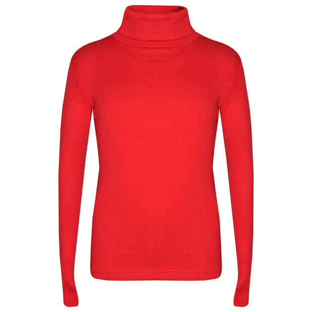 Kids Girls Polo Neck T Shirt Thick Cotton Turtleneck Jumper Long Sleeve Top 2-109