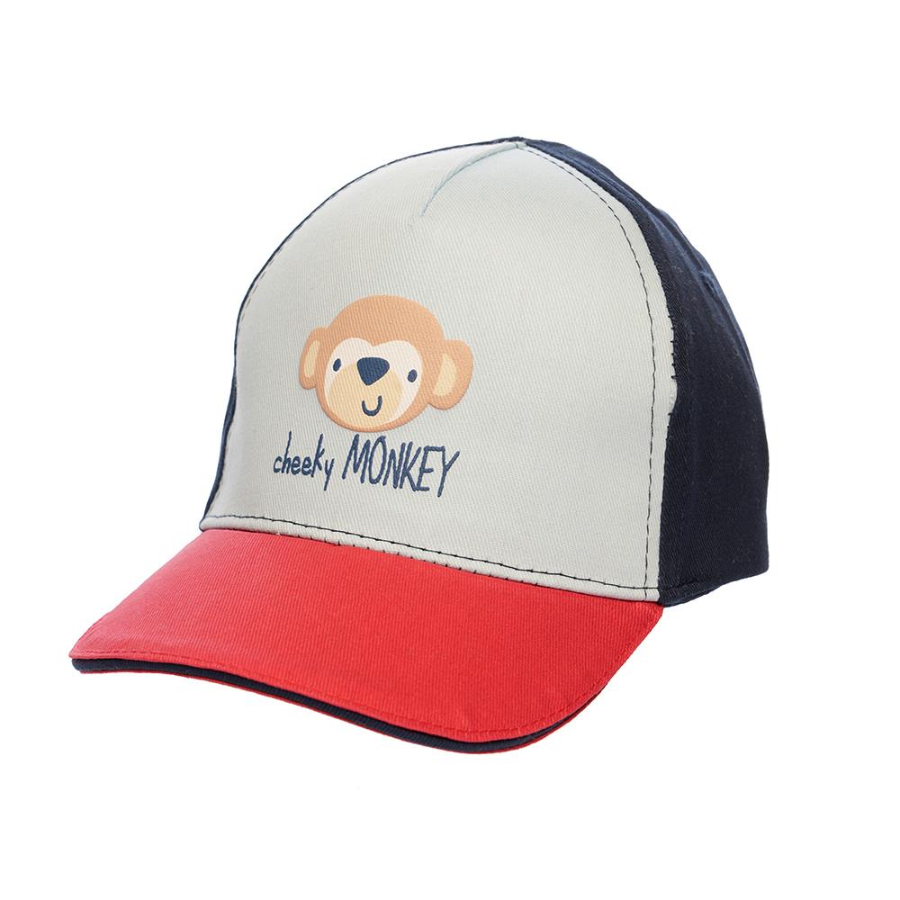 monkey