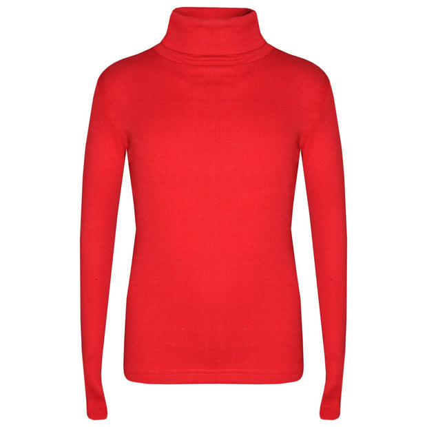 Kids Girls Polo Neck T Shirt Thick Cotton Turtleneck Jumper Long Sleeve Top 2-109