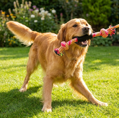 A2Z Knotted Dog Rope Chew Toy With Rubber Grip For Tug And Fetch Play