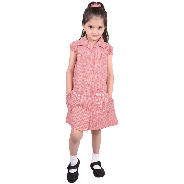 Kids Girls Pack Of 2 Uniform School Dress Gingham Dress With Matching Scrunchies