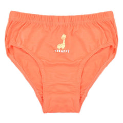 A2Z 4 Kids Boys Underwear Pack Of 3 Monster Animal Knickers Cotton Mix Briefs