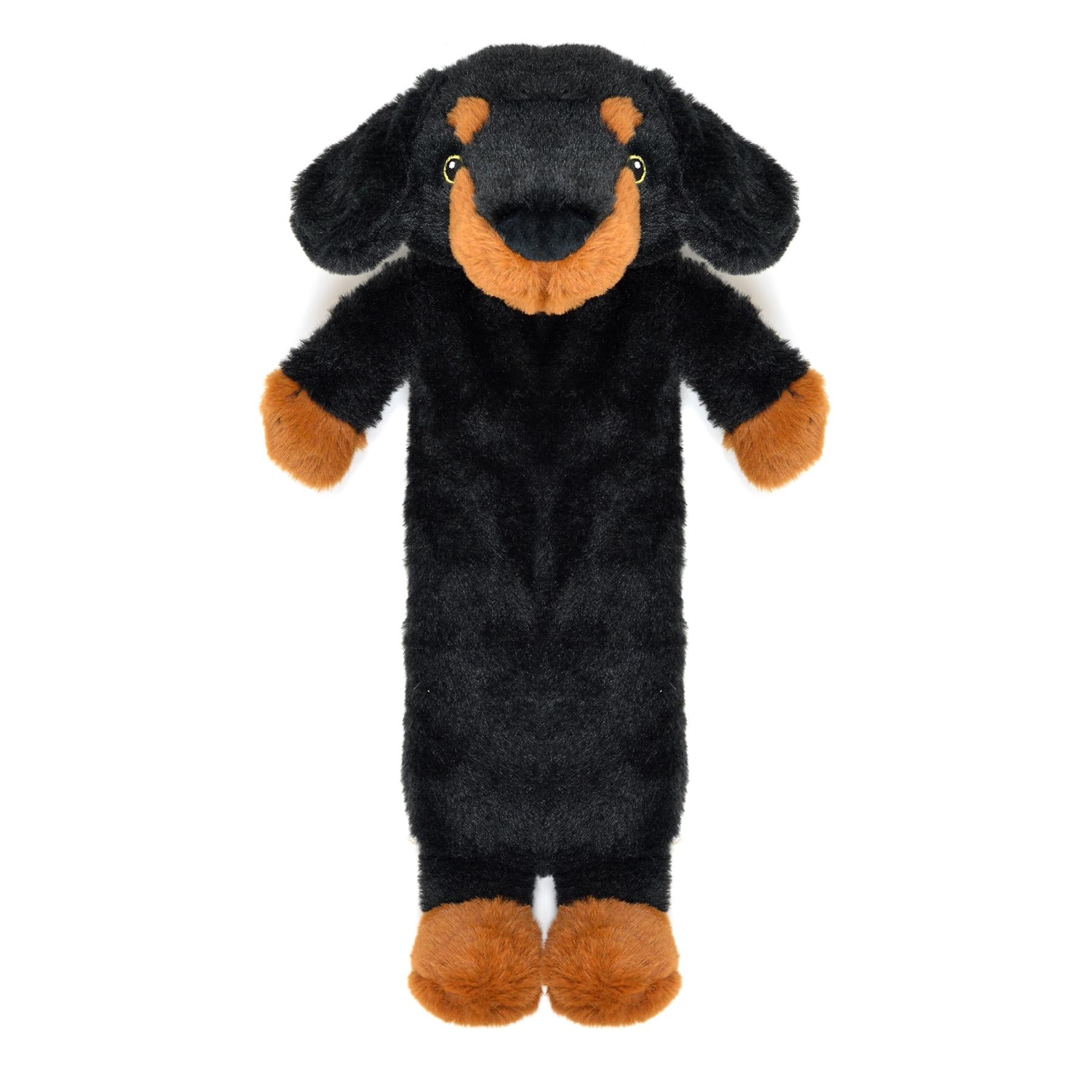 dachsund
