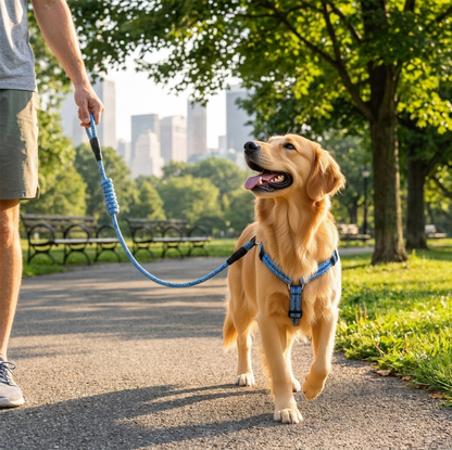 A2Z Dog Collar Harness And Lead Set Reflective Adjustable Walking Set