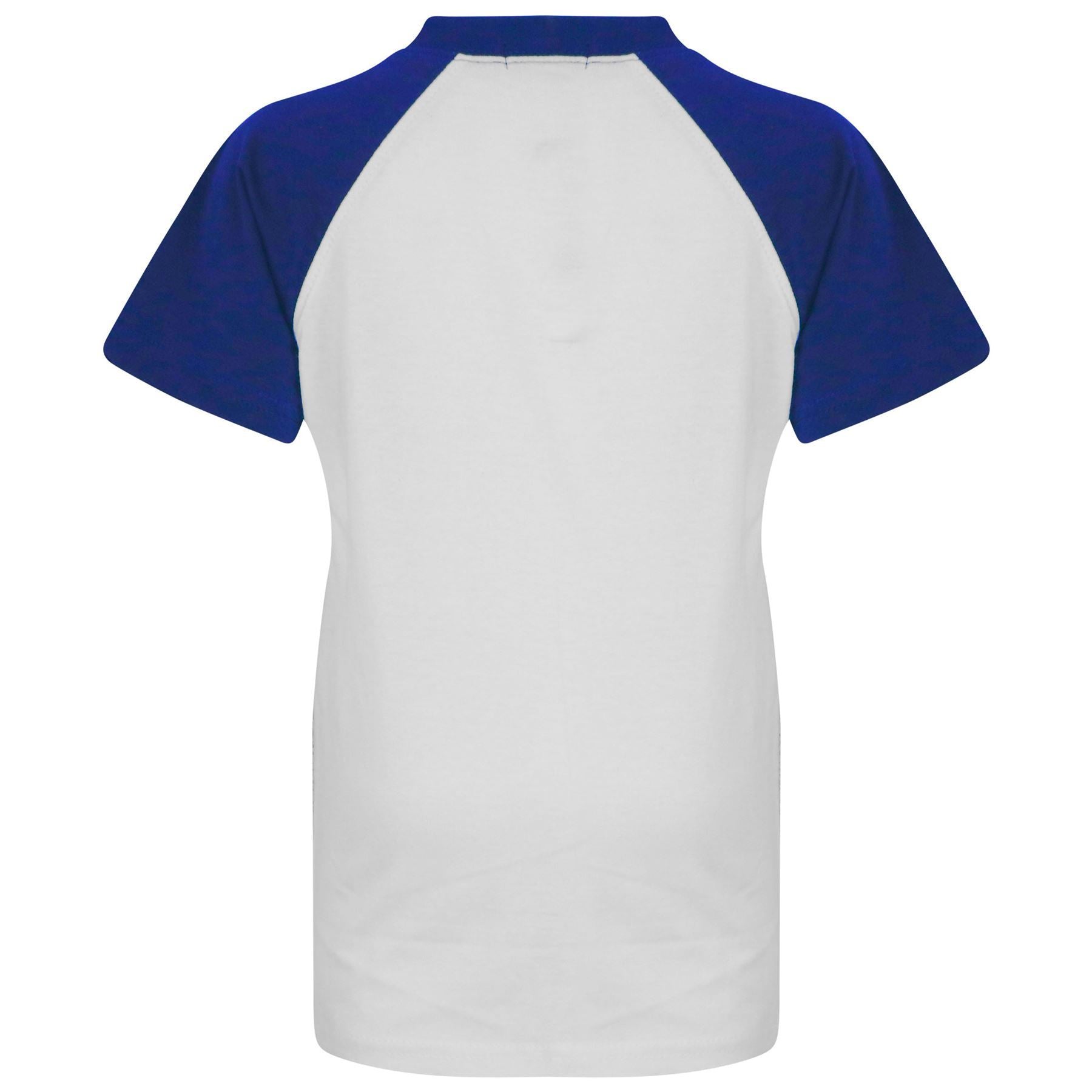 A2Z 4 Kids Raglan Style T Shirt Colour Contrast Top Short Sleeve Royal Super Soft Comfy Loungewear Dress Up Gifts for Children Girls & Boys Age 5-13 Years - A2Z 4 Kids