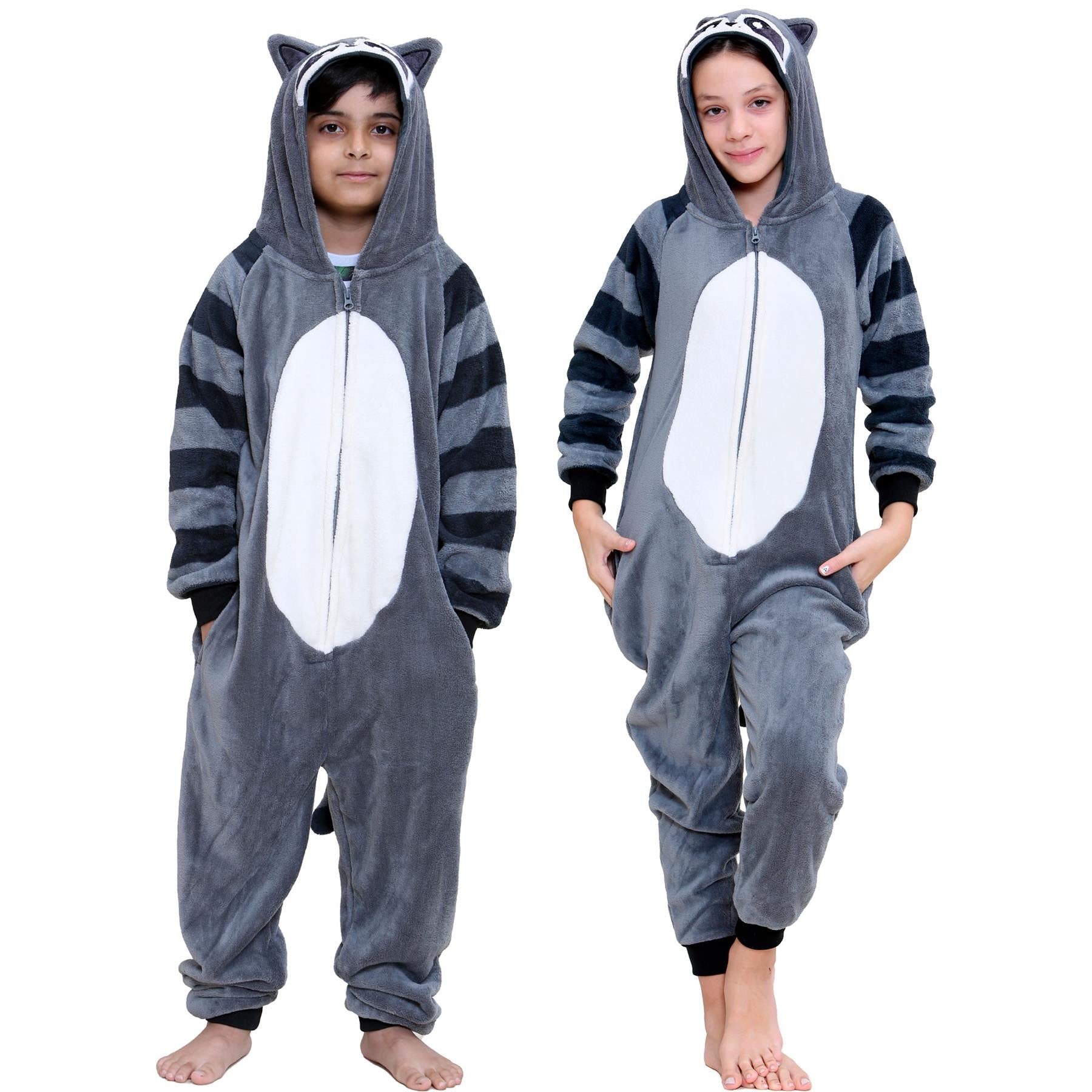 raccoon