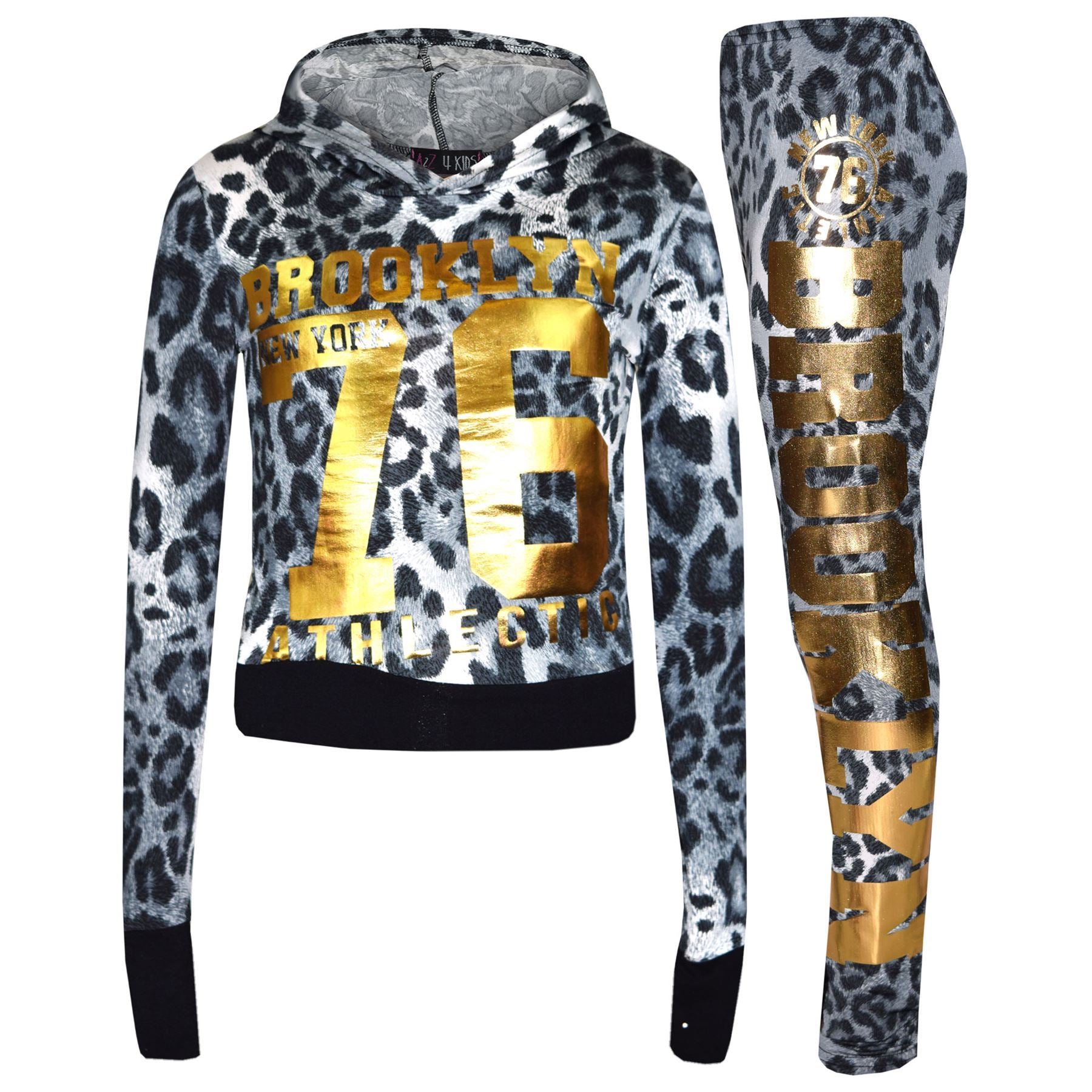 leopard-snow