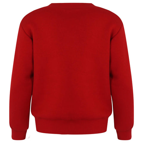 Kids Girls Boys Christmas Penguin Face Sweatshirt Long Sleeve Trendy Jumper 2-13
