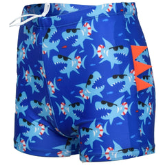 A2Z 4 Kids Boys Beach Swim Shorts Trunks Quick Dry Swimwear Swimming Boardshorts
