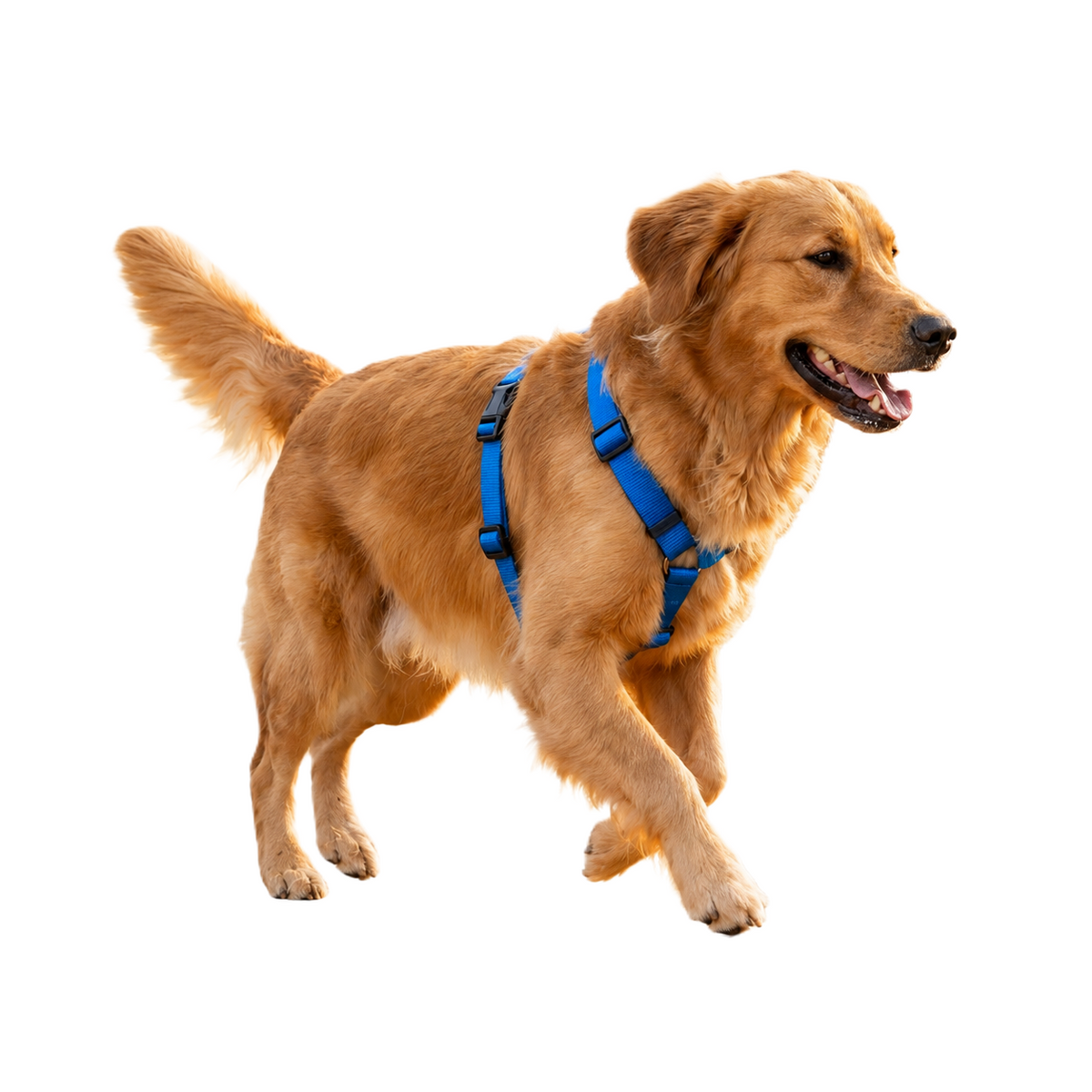 A2Z Padded Dog Harness Adjustable Lightweight Pet Harness 85 x 70 cm